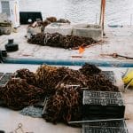 Cargo Ship Cruising: Slow Travel Across Oceans