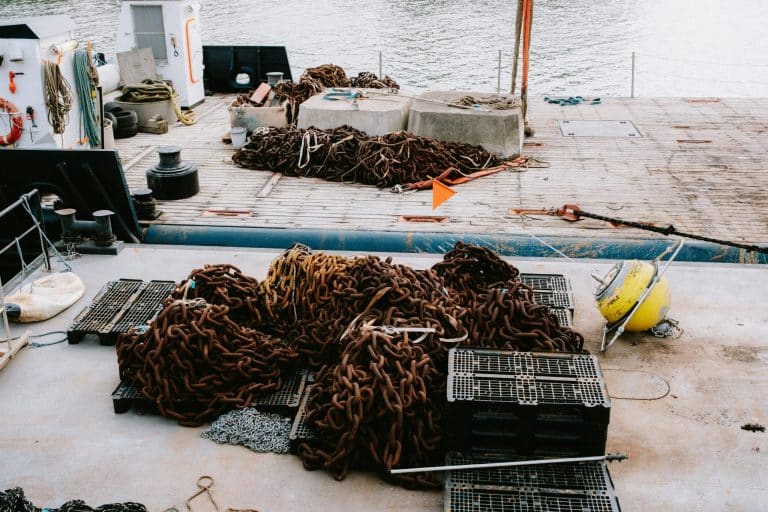 Cargo Ship Cruising: Slow Travel Across Oceans