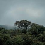 Monsoon Magic: Surprisingly Great Rainy Season Destinations