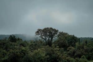 Monsoon Magic: Surprisingly Great Rainy Season Destinations