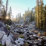 Navigating the Intricate Landscape of Sustainable Luxury Travel