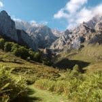 Emotional Alchemy in Professional Landscape Transformation