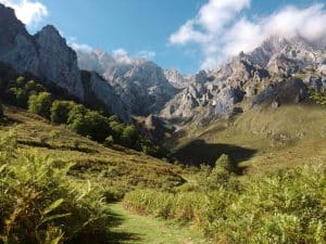 Emotional Alchemy in Professional Landscape Transformation