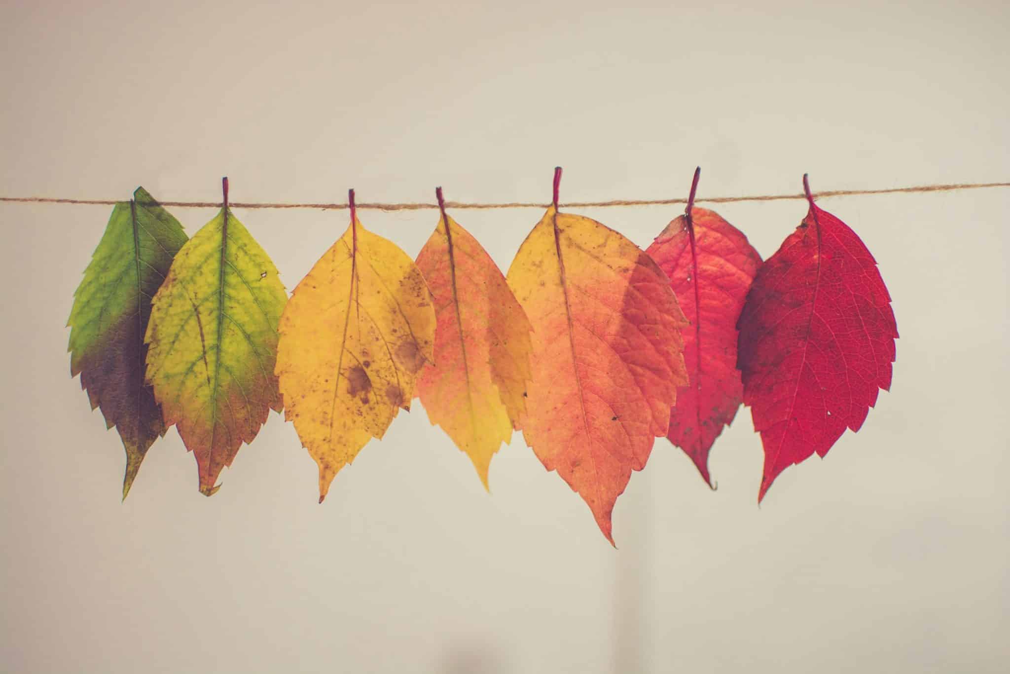 Unleashing Your Potential: Psychological Transformation Through Global Journeys