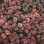 Navigating Ethical Labyrinths in Modern Legal Practice