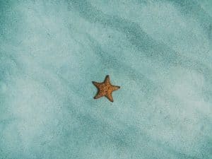 The Evolving Nature of Privacy Laws in Digital Societies
