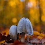 Reversed Itineraries: Popular Routes Done Backwards