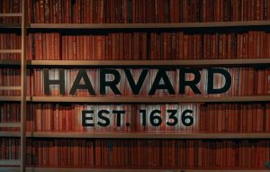 The Future of Knowledge: Interdisciplinary Learning Strategies