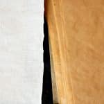 Radical Creativity in Uncertain Professional Landscapes