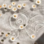 Innovating Health Tech with Predictive Wellness Technologies