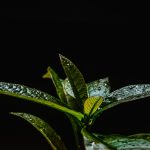 The Comprehensive Guide to Eco-Conscious Expedition Planning