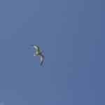 The Ultimate Guide to Psychological Resilience Through Global Exploration