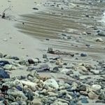 Breakthrough Strategies for Neurodivergent Travelers' Global Exploration