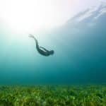 Navigating the Ecosystem of Emerging Career Possibilities