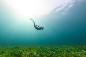 Navigating the Ecosystem of Emerging Career Possibilities