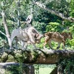 VR Vacations: Experiencing Destinations from Your Living Room