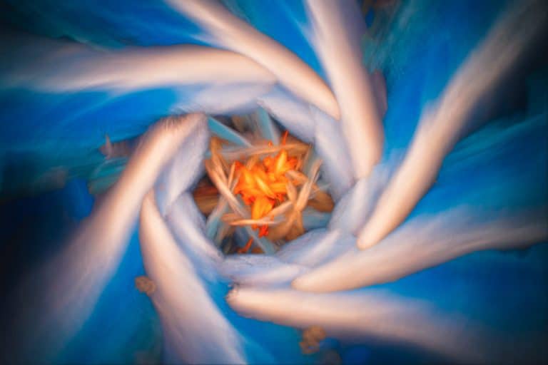 Crafting Resilience in Dynamic and Unpredictable Workplaces